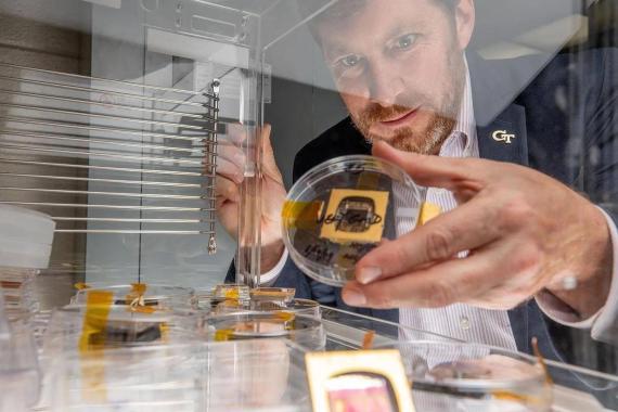 ud Ready holds a sample of a perovskite solar cell, along with other samples similar to those launched to the International Space Station.