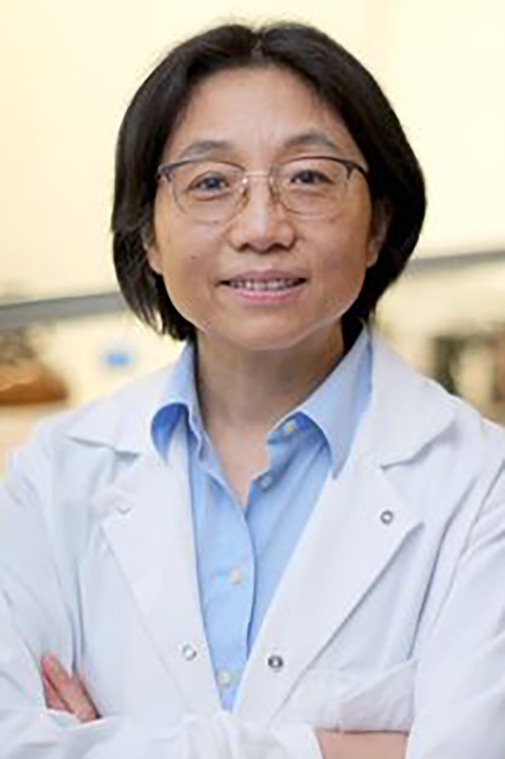 Jie Xu