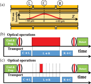 transport enabled entangling gate for trapped ions graphic