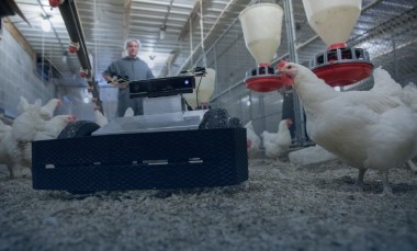 A-GTRI-robot-navigates-its-way-through-a-chicken-grow-out-house-to-search-for-eggs-and-monitor-conditions-for-the-flock-photo-credit-Branden-Camp-Georgia-Tech-Research-Institute