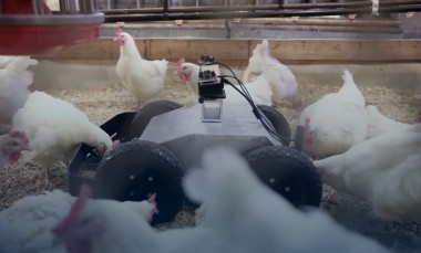 A-GTRI-robot-navigates-its-way-through-a-chicken-grow-out-house-to-search-for-eggs-and-monitor-conditions-for-the-flock-photo-credit-Branden-Camp-Georgia-Tech-Research-Institute