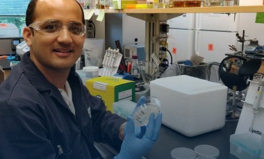 Photo: Working in the laboratory of Vinayak Agarwal, postdoctoral scholar Hem Tharpa has made enzyme components needed to support the expansion of coronavirus testing. (Georgia Tech photo)