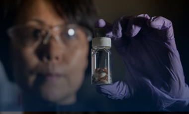 Photo of a GTRI researcher. 