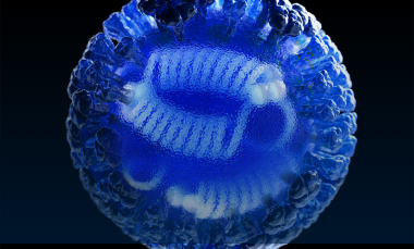 Computer-generated rendering of a whole influenza virus