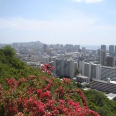 Pearl City Skyline