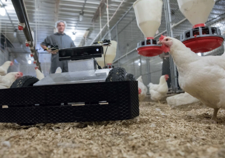 photo: image of small robot rolling around inside chicken house.