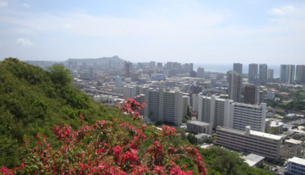 Pearl City Skyline