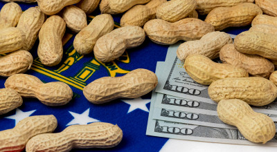 Peanuts and money atop a Georgia flag