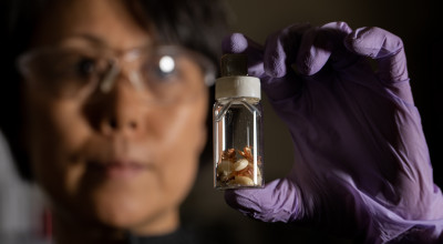Photo of a GTRI researcher. 